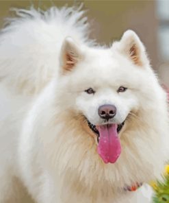 White Fluffy Dog In Garden Diamond Painting