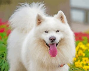 White Fluffy Dog In Garden Diamond Painting