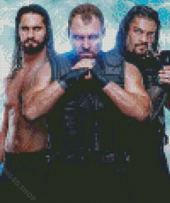 WWE The Shield Diamond Paintings