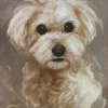 Abstract Maltese Dog Diamond Paintings