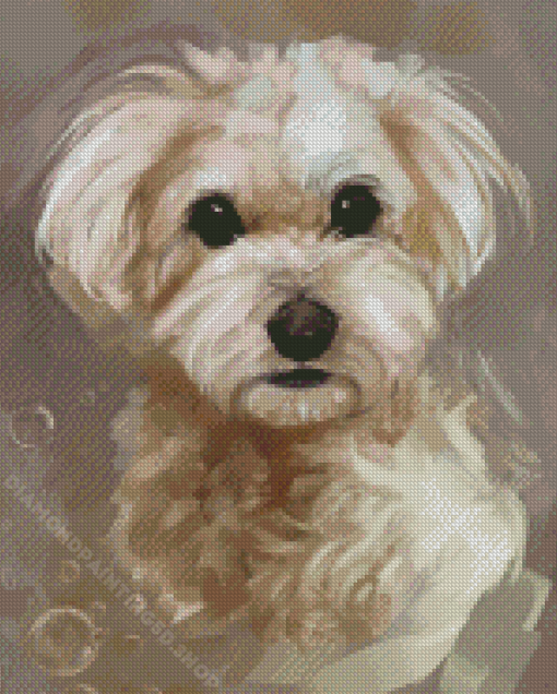 Abstract Maltese Dog Diamond Paintings