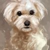 Abstract Maltese Dog Diamond Painting