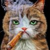 Aesthetic Cat Smoking Diamond Painting