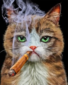 Aesthetic Cat Smoking Diamond Painting