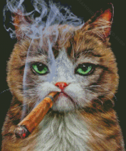 Aesthetic Cat Smoking Diamond Paintings