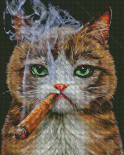 Aesthetic Cat Smoking Diamond Paintings