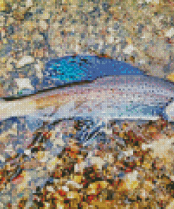 Arctic Grayling Fish Diamond Paintings
