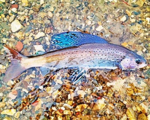 Arctic Grayling Fish Diamond Painting