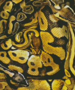 Black Yellow Snake Diamond Paintings
