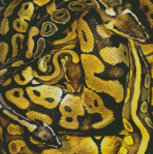 Black Yellow Snake Diamond Paintings