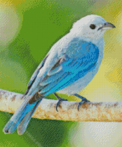 Blue Oriole Bird Diamond Paintings