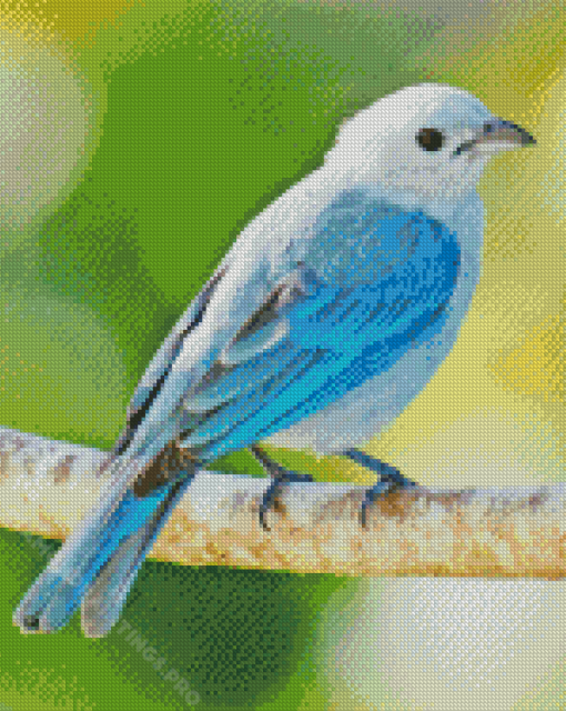 Blue Oriole Bird Diamond Paintings