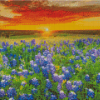 Blue Wildflowers Sunset Diamond Paintings