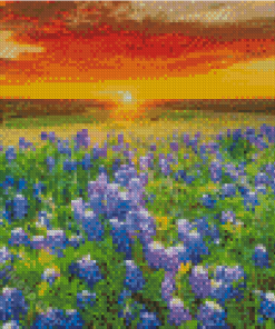 Blue Wildflowers Sunset Diamond Paintings