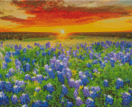 Blue Wildflowers Sunset Diamond Paintings