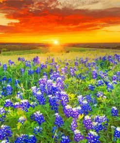 Blue Wildflowers Sunset Diamond Painting