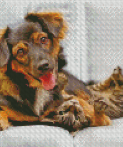 Dog And Cat Diamond Paintings