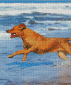 Dog Playing On The Beach Diamond Paintings