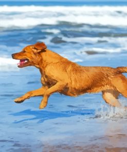 Dog Playing On The Beach Diamond Painting