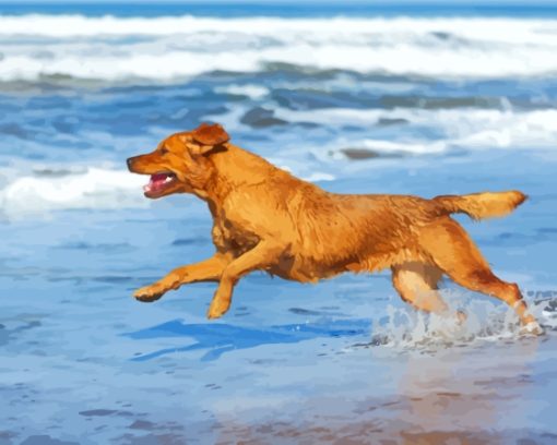 Dog Playing On The Beach Diamond Painting