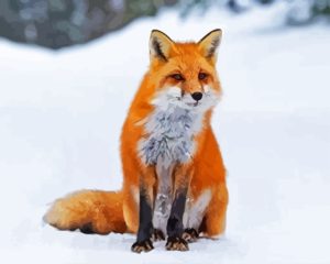 Fox In The Snow Diamond Painting