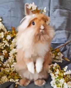 Lionhead Rabbit Diamond Painting