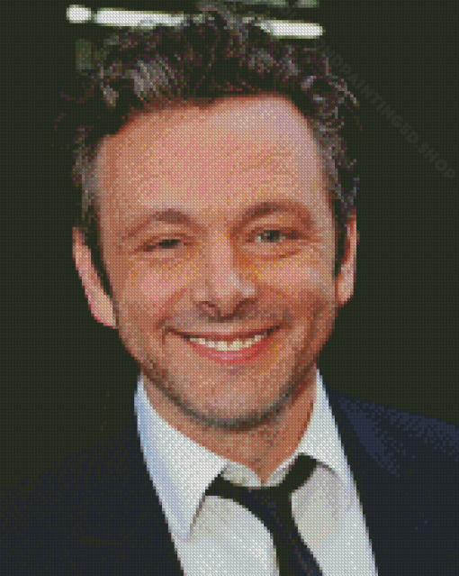 Michael Sheen Actor Diamond Paintings