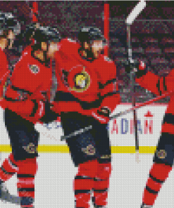 Ottawa Senators Ice Hockey Players Diamond Paintings