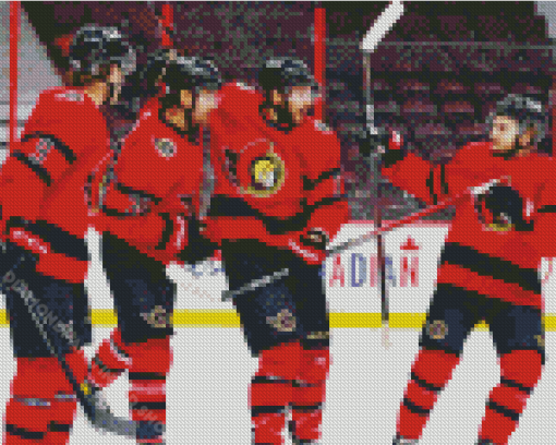 Ottawa Senators Ice Hockey Players Diamond Paintings