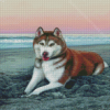 Red Husky On The Beach Diamond Paintings