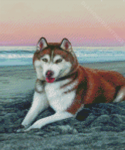 Red Husky On The Beach Diamond Paintings
