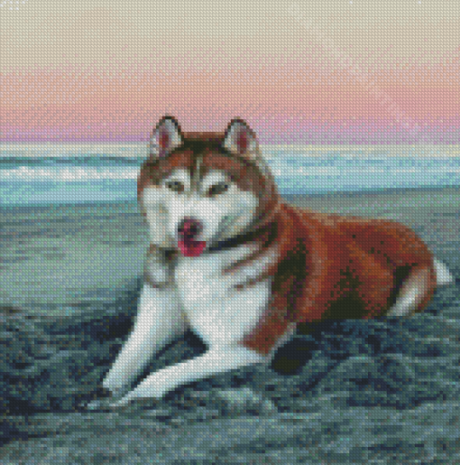 Red Husky On The Beach Diamond Paintings