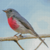 Rose Robin On Branch Diamond Paintings