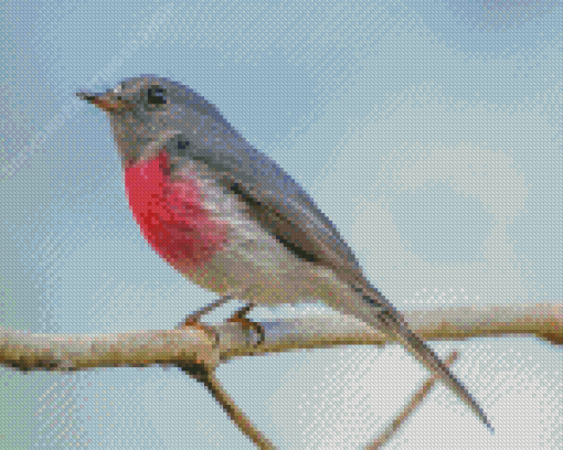 Rose Robin On Branch Diamond Paintings