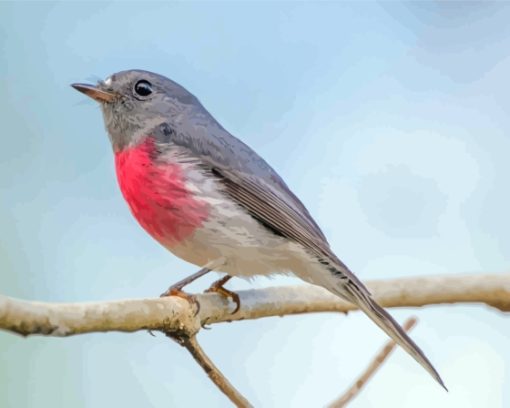 Rose Robin On Branch Diamond Painting