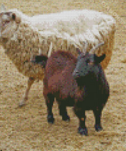 Sheep And Goat Diamond Paintings