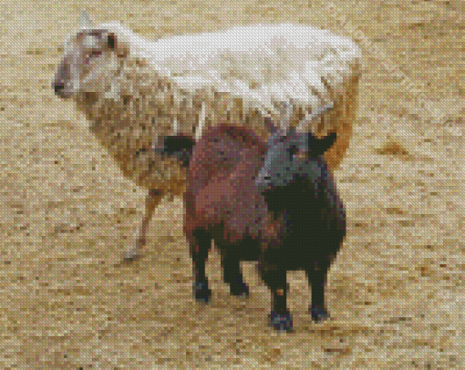 Sheep And Goat Diamond Paintings