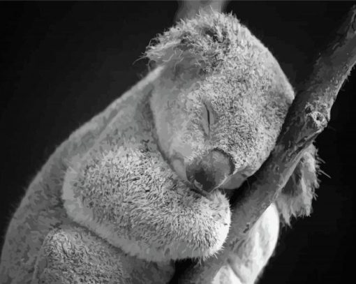 Sleepy Black And White Koala Diamond Painting