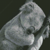 Sleepy Black And White Koala Diamond Paintings