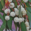 Snow Gum Flowers Plant Diamond Paintings