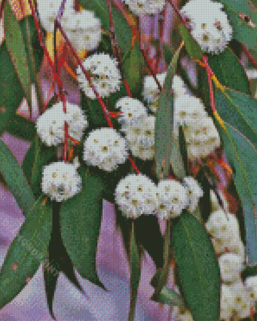 Snow Gum Flowers Plant Diamond Paintings