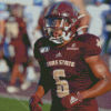 Texas State Bobcats American Footballer Diamond Paintings