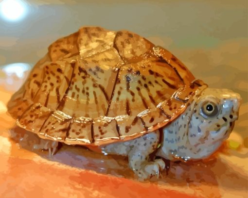 The Common Musk Turtle Diamond Painting