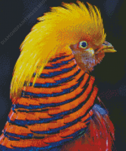 The Golden Pheasant Bird Diamond Paintings