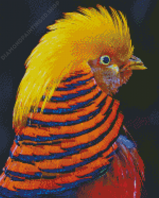 The Golden Pheasant Bird Diamond Paintings