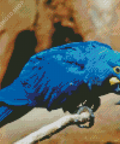 The Lear’s Macaw Diamond Paintings