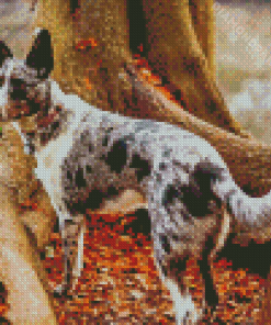 The Texas Heeler Dog Diamond Paintings