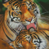 The Tigers In Love Diamond Paintings