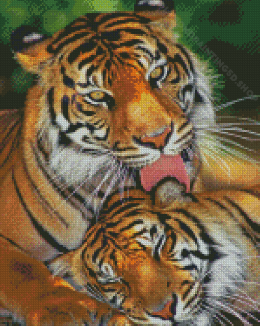 The Tigers In Love Diamond Paintings