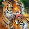 The Tigers In Love Diamond Painting